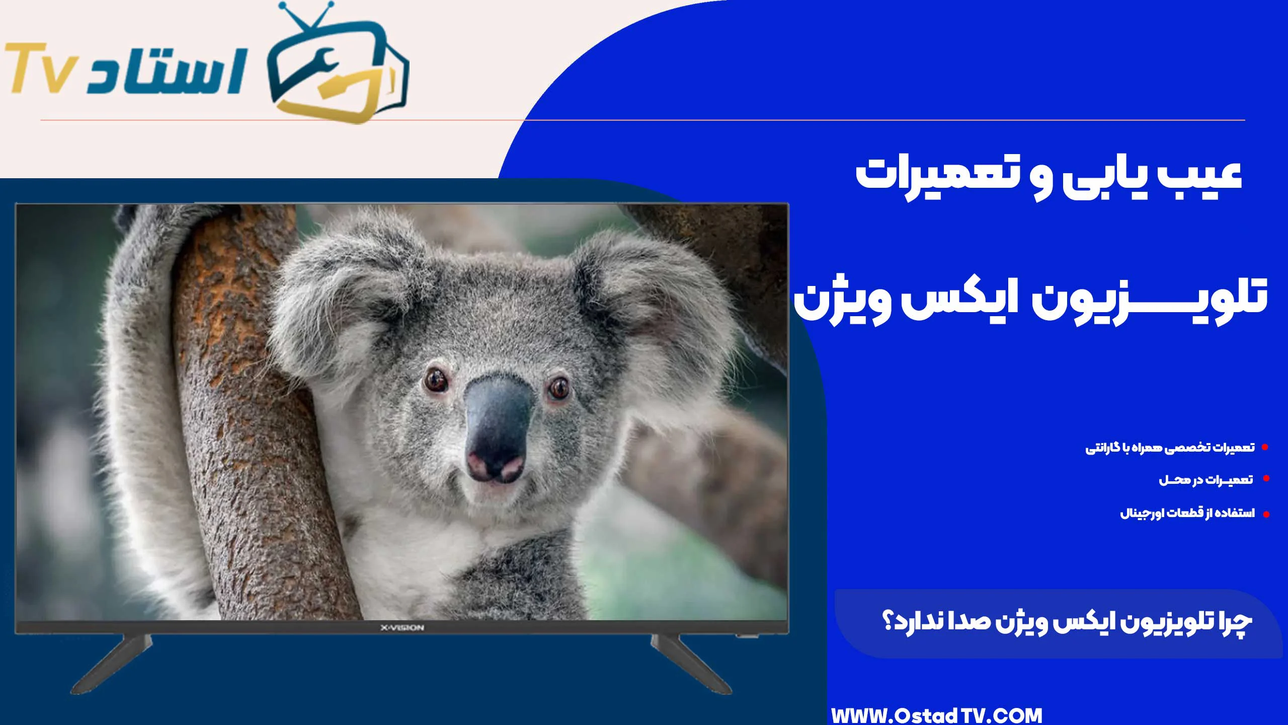 چرا تلویزیون ایکس ویژن صدا ندارد