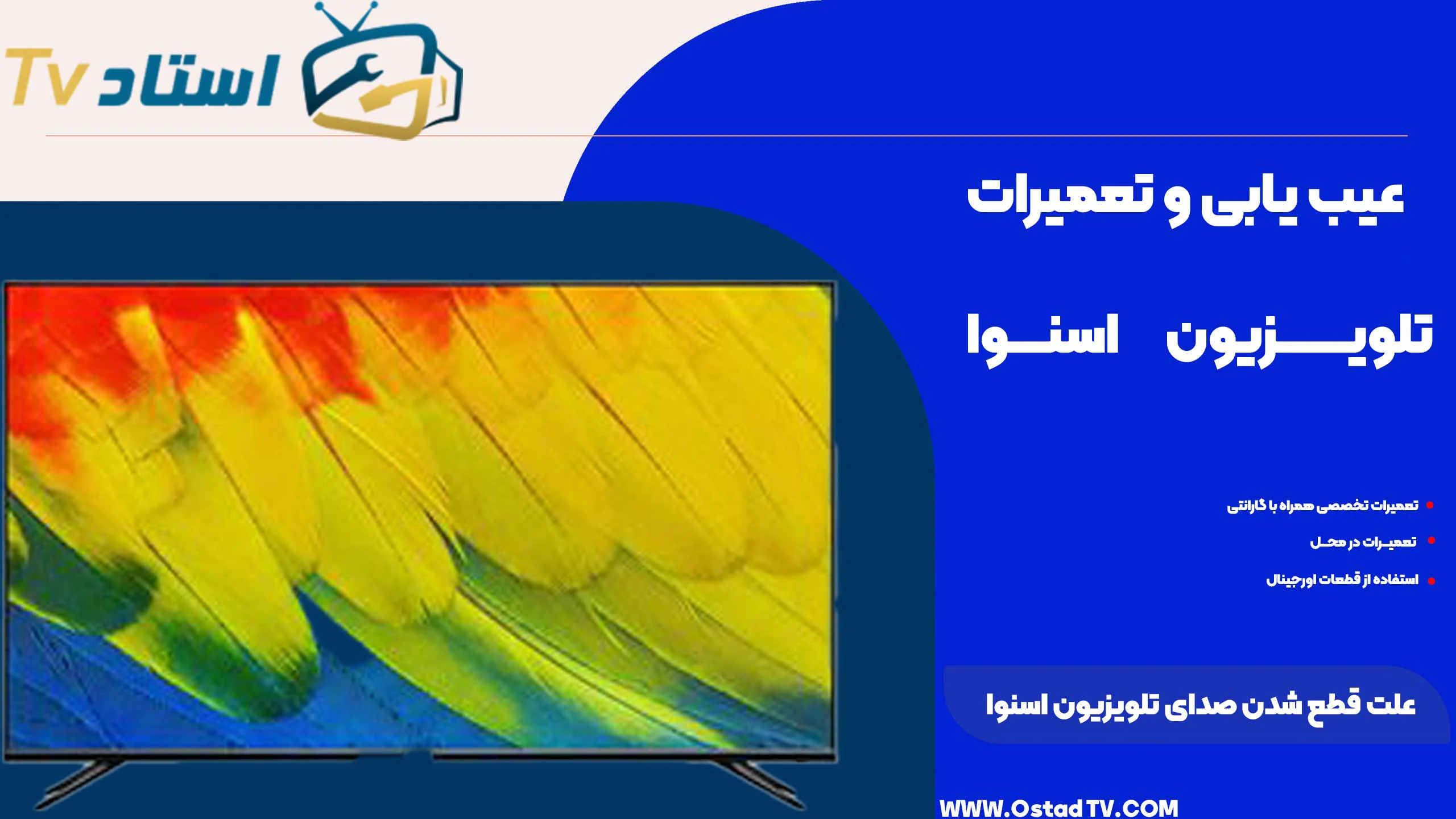 علت قطع شدن صدای تلویزیون اسنوا