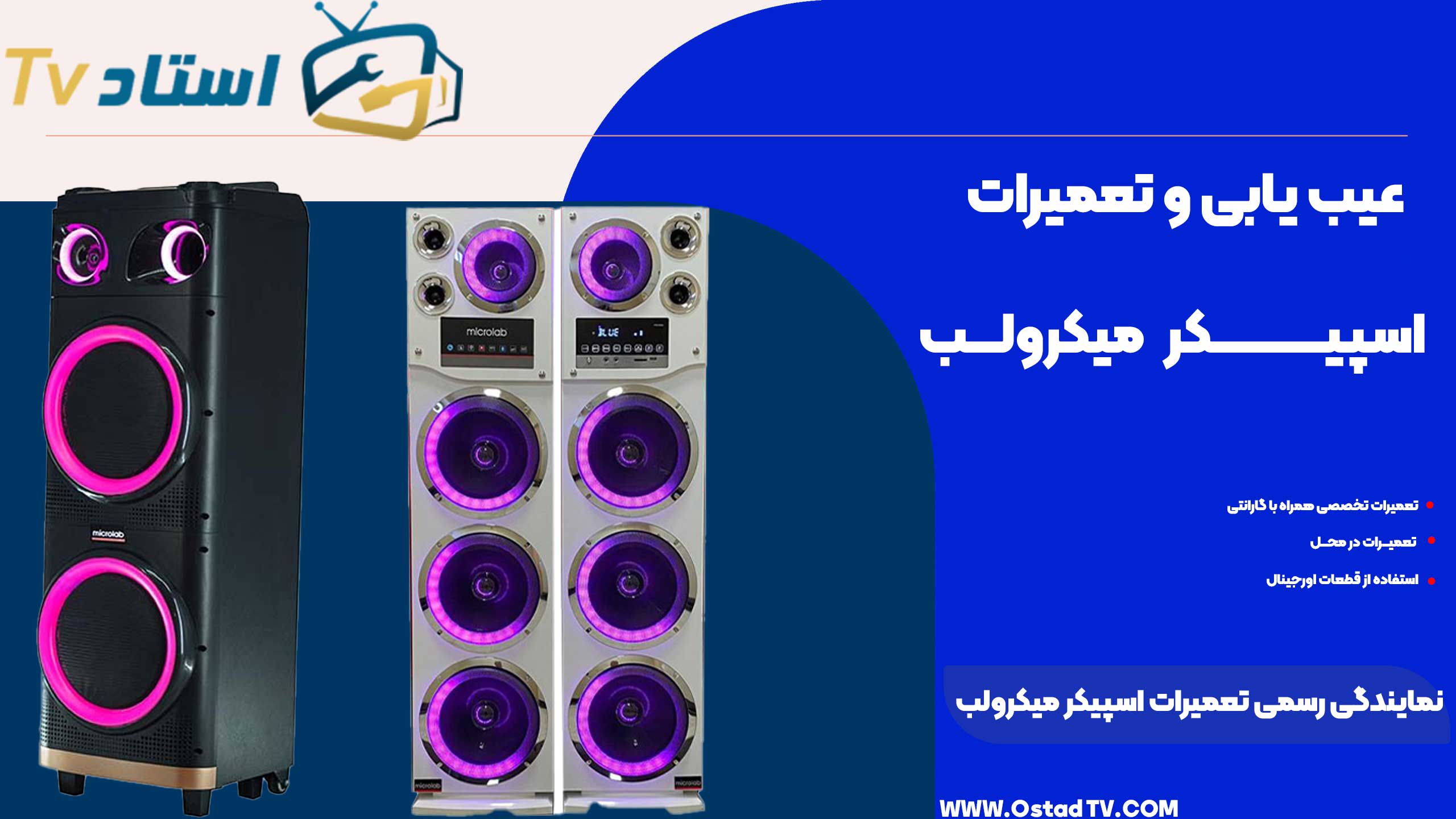 نمایندگی رسمی تعمیرات اسپیکر میکرولب