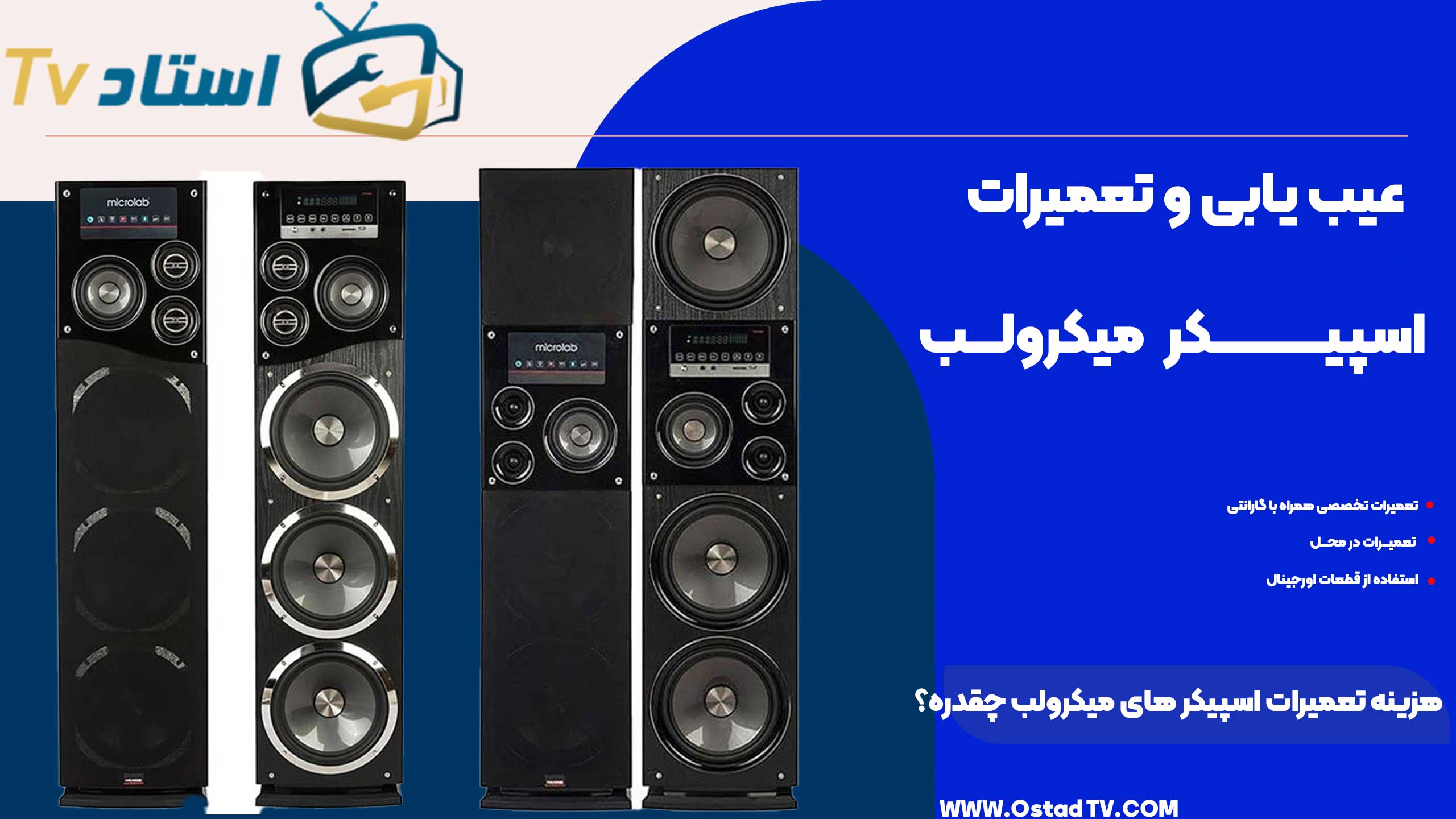 هزینه تعمیر اسپیکر های میکرولب چقدره؟