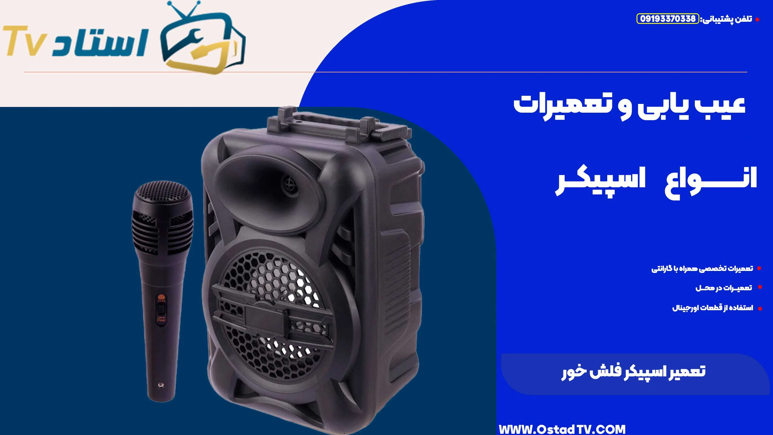 تعمیر اسپیکر فلش خور