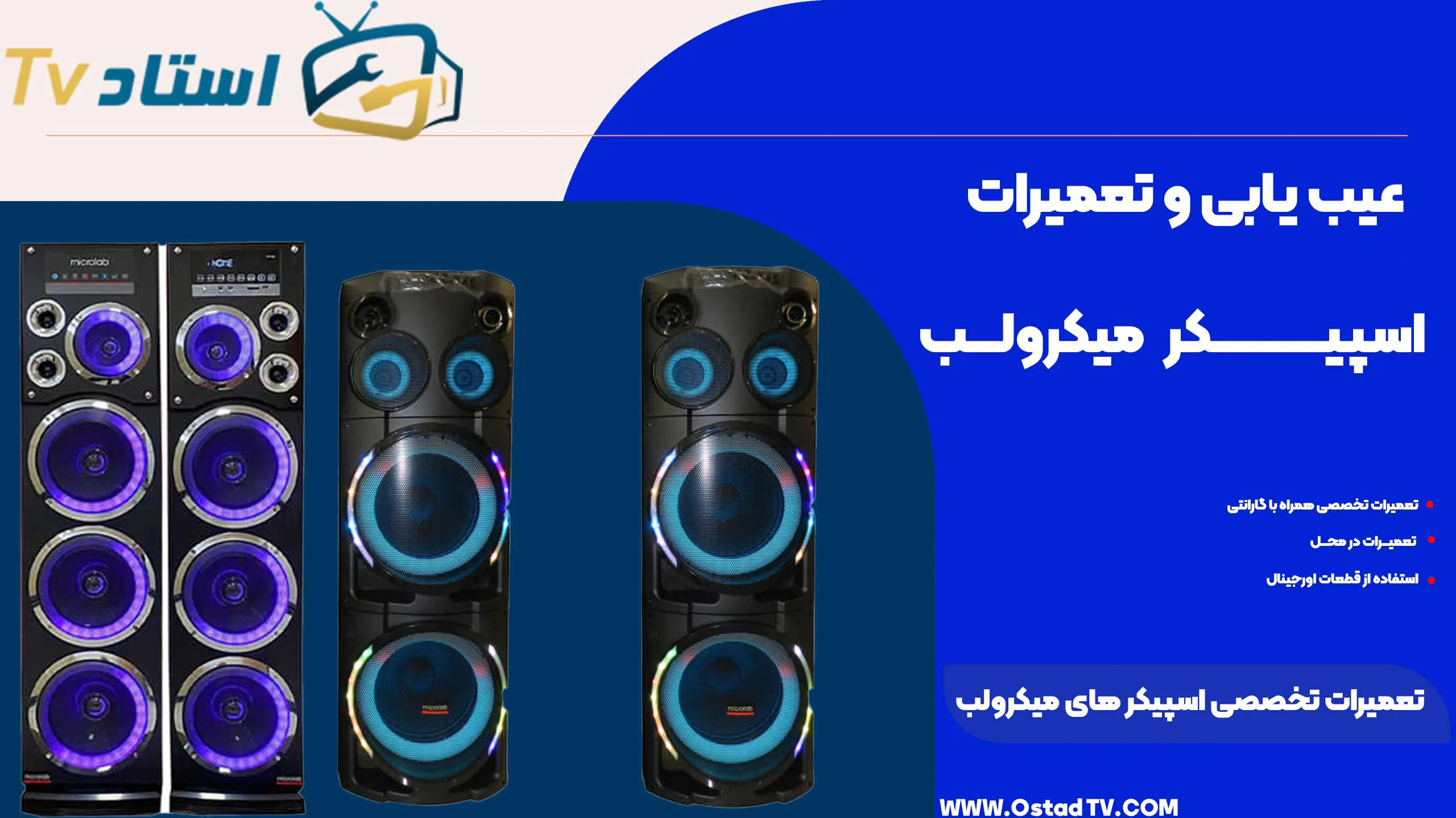 تعمیر اسپیکر میکرولب