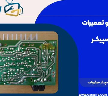 نقشه برد اسپیکر میکرولب