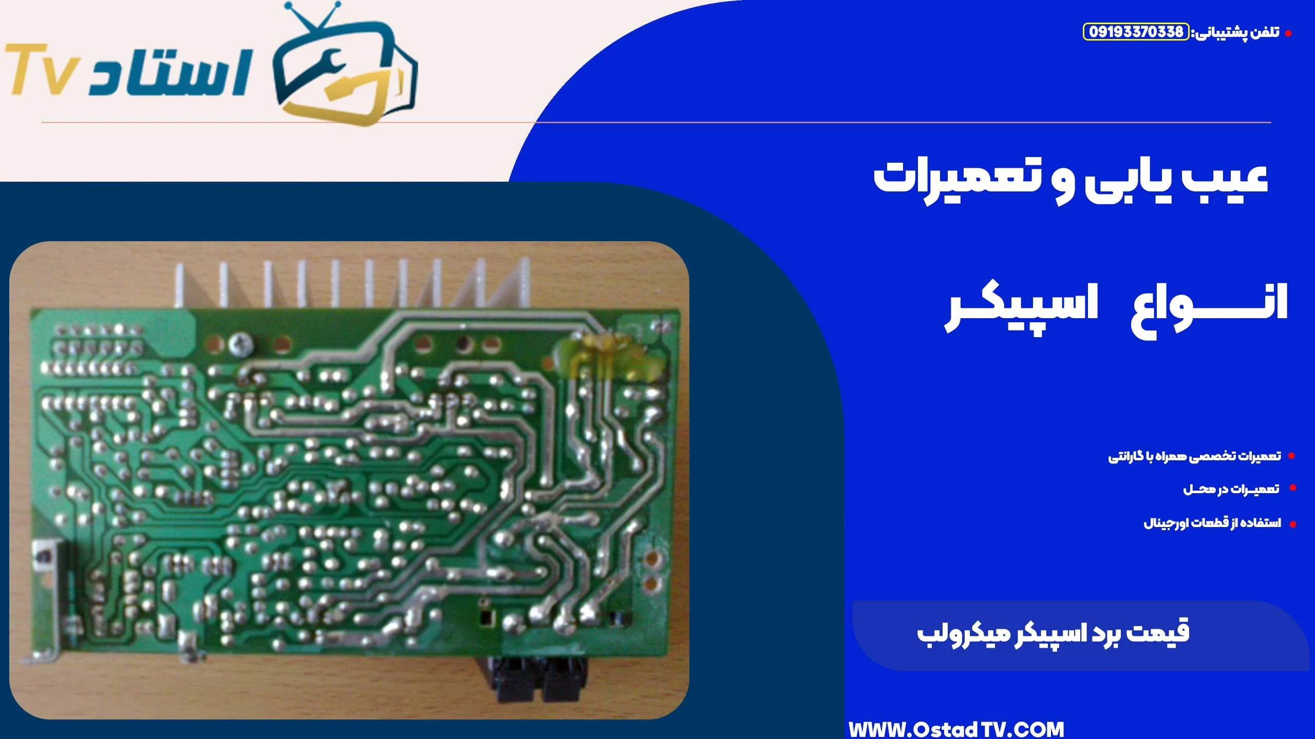 قیمت برد اسپیکر میکرولب