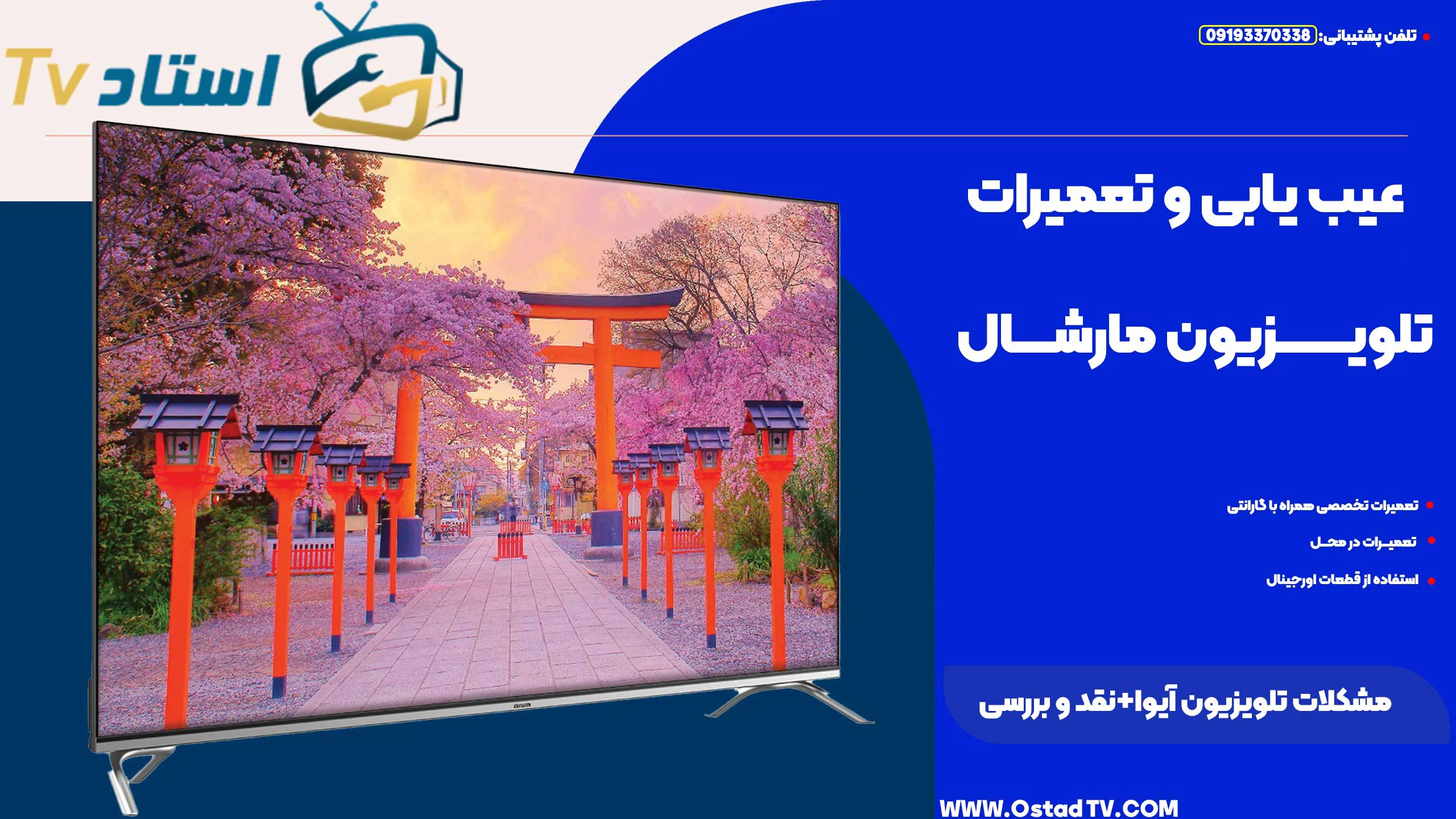 مشکلات تلویزیون آیوا