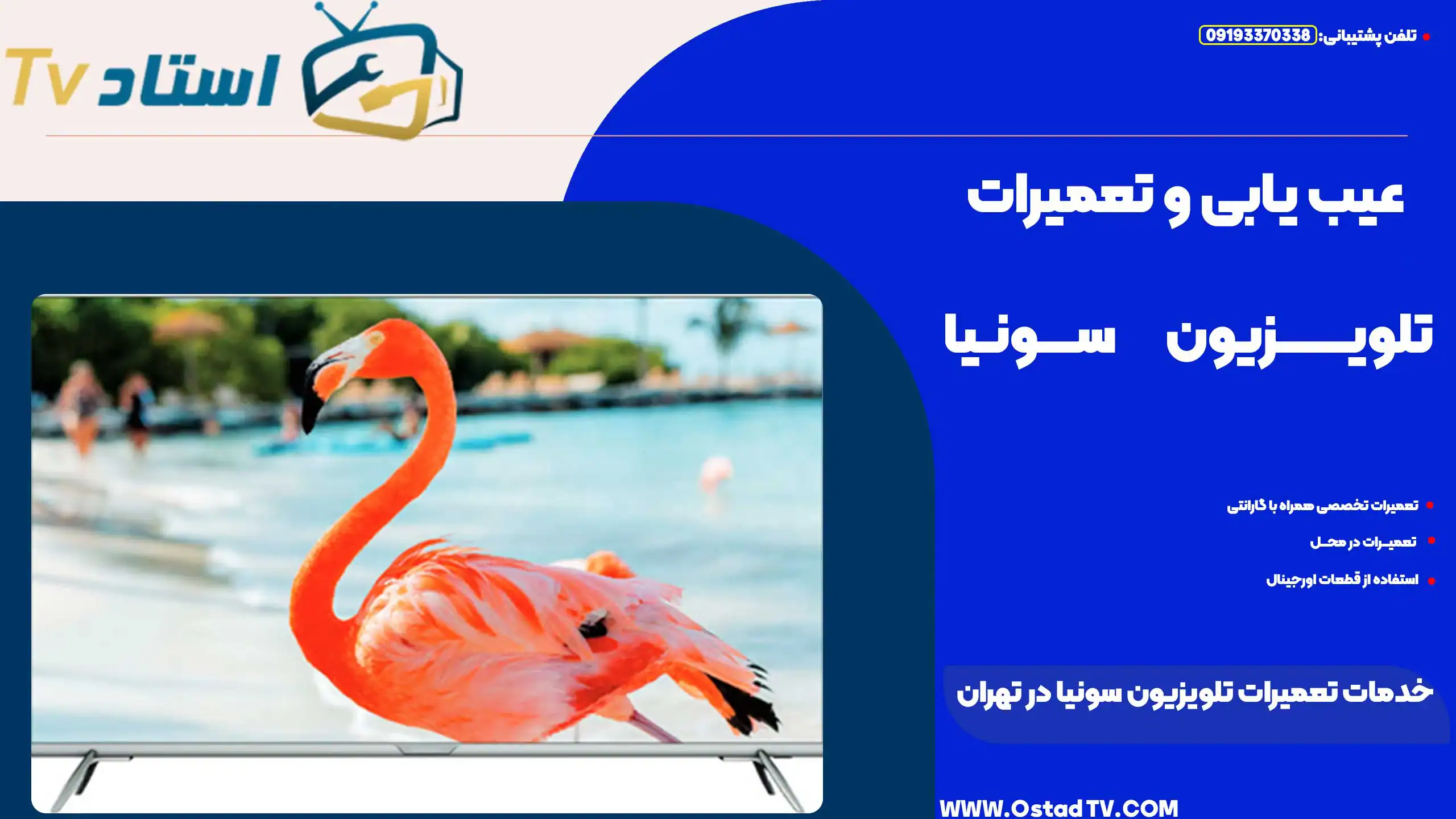 پروانه روی شاخه در مقابل صفحه تلویزیون، نماد تعمیرات و عیب یابی تلویزیون سونی در تهران، خدمات تخصصی و تعمیرات.