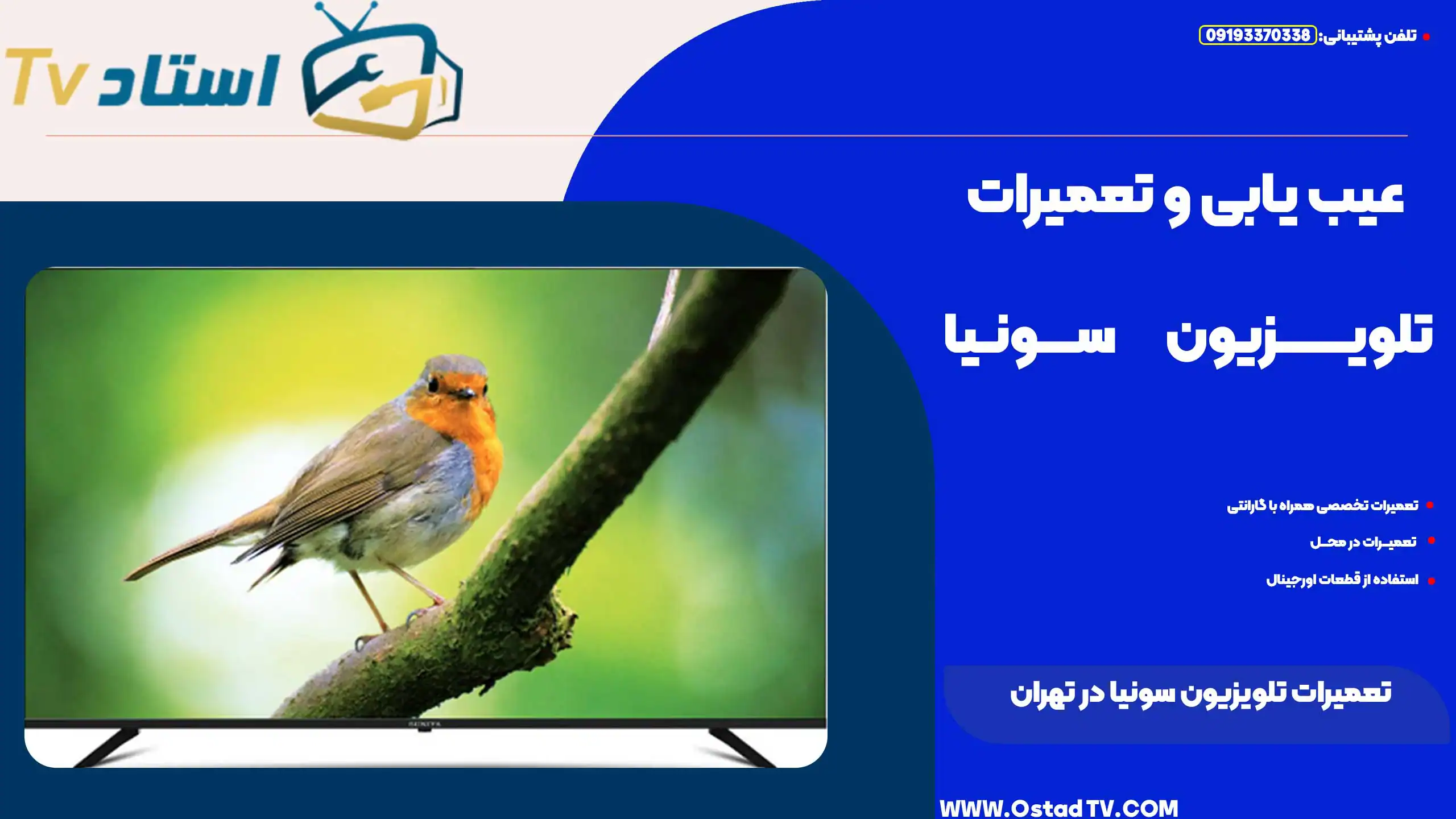 پروانه روی شاخه در مقابل صفحه تلویزیون، نماد تعمیرات و عیب یابی تلویزیون سونی در تهران، خدمات تخصصی و تعمیرات.