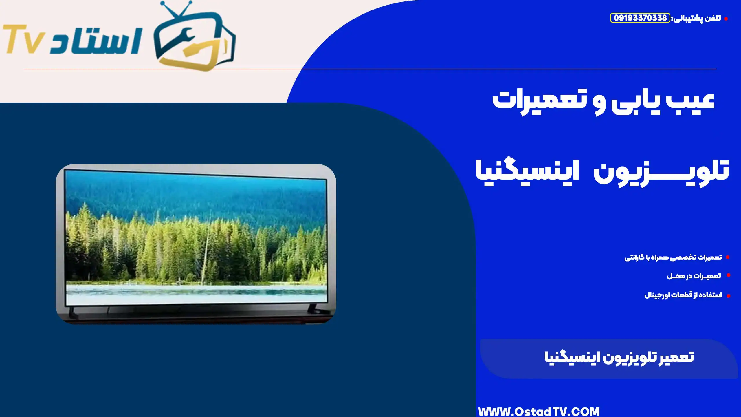 تعمیر تلویزیون اینسیگنیا