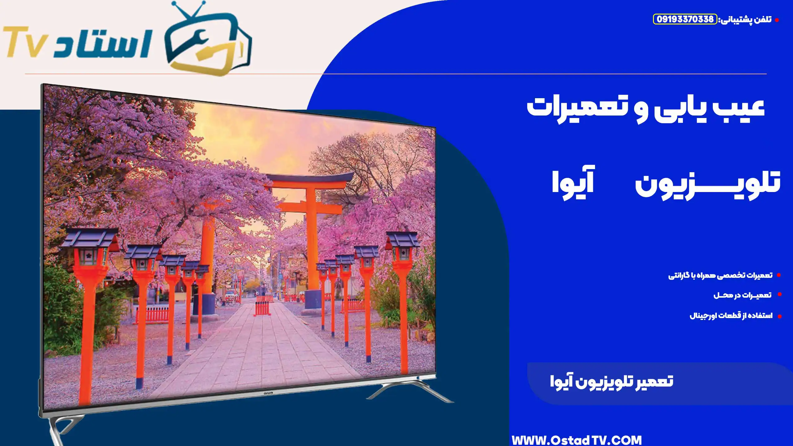 تعمیر تلویزیون آیوا